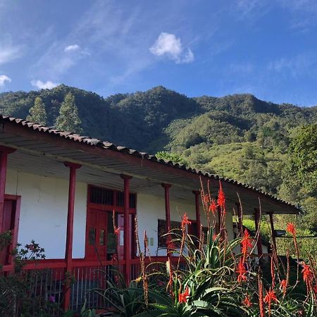 Birdglamping Los Arboles Hotel Salento Exterior foto