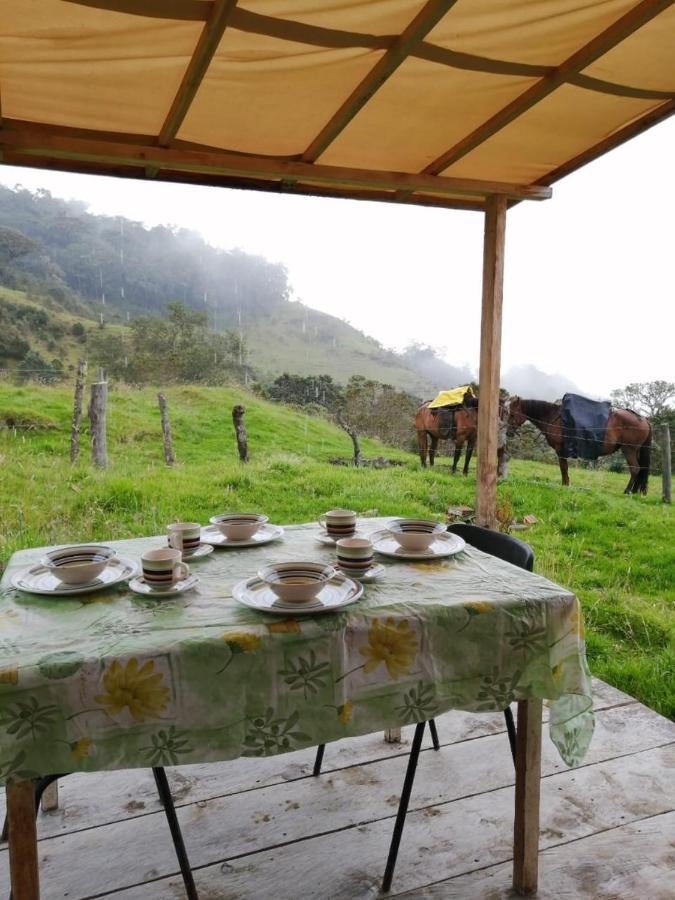 Birdglamping Los Arboles Hotel Salento Exterior foto